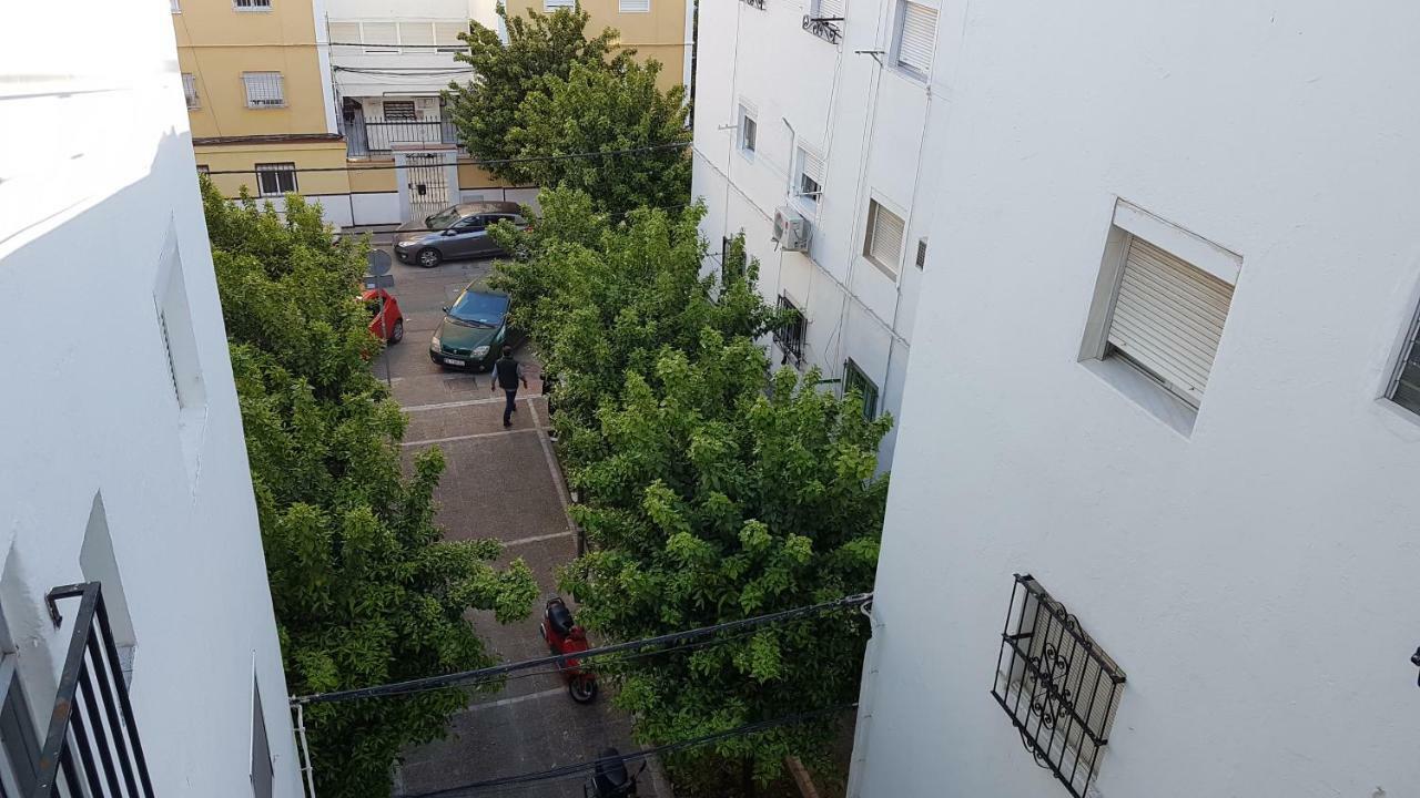 Acogedor Apartamento En El Barrio Del Parlamento De Andalucia — Photos 2
